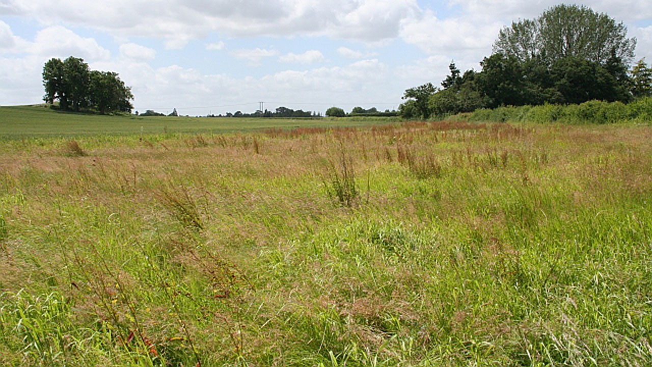 ७० लाख मुल्य बराबरको जग्गा वडा कार्यालयलाई दान…