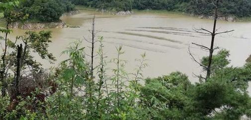 पानी बढेपछि कुलेखानी आयोजनाको ड्याम खोलिँदै, तटीय क्षेत्रमा सचेत रहन आग्रह